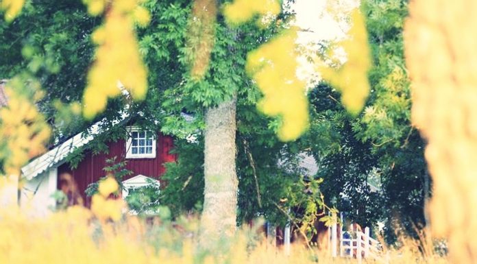 Russian country cottage dacha in summer